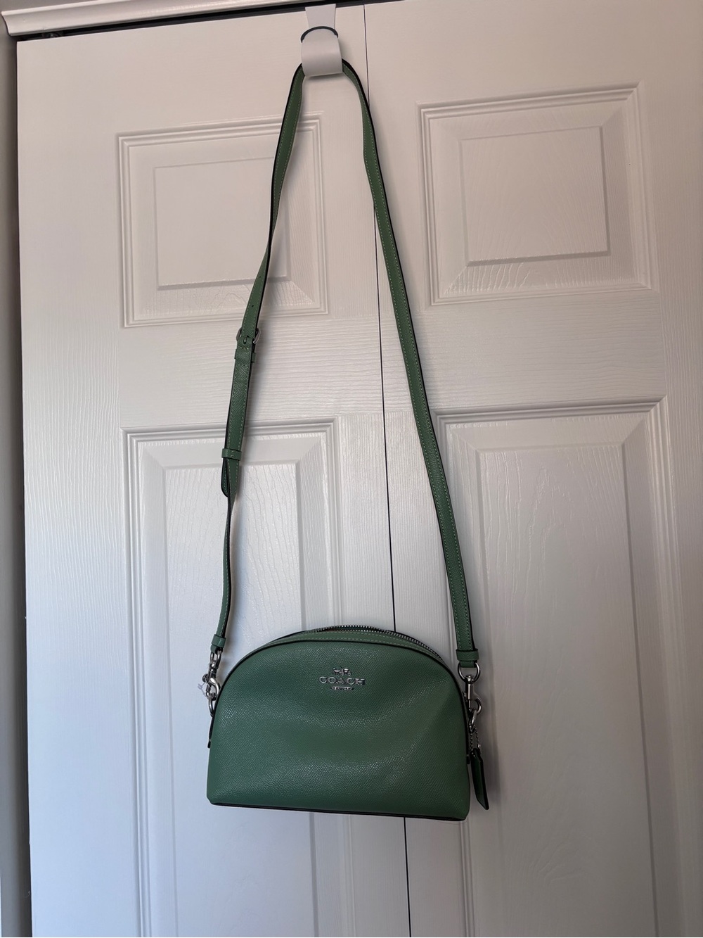 Coach Sage Green Leather Crossbody Bag